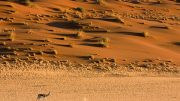 Namibia Desert (Photo by Luca Galuzzi)