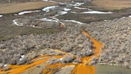 A tributary of the Kugororuk River runs orange in 2023. Photo by Josh Koch, U.S. Geological Survey. Public Domain.